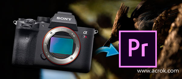 Import 4K XAVC S from Sony a7R IV to Premiere Pro CC